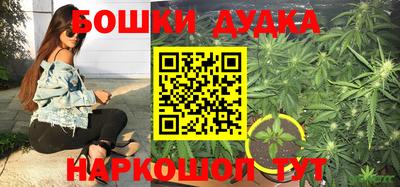 шишки Малоярославец