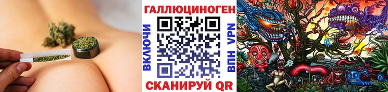 закладка  Жуковский  Галлюциногенные грибы Cubensis 