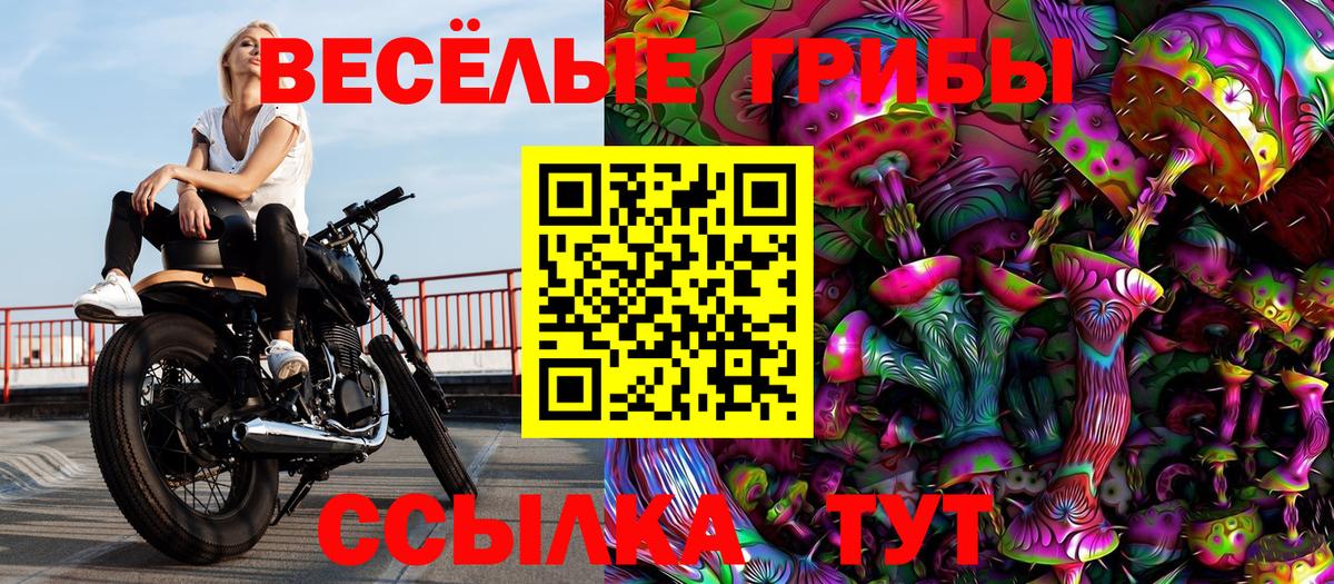 Псилоцибиновые грибы Magic Shrooms Жуковский