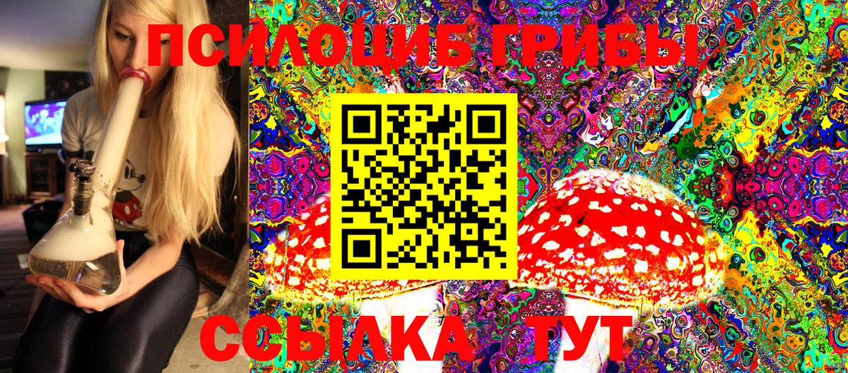 Жуковский  Галлюциногенные грибы GOLDEN TEACHER  Вход с VPN 